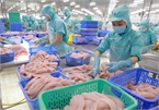 Vietnam’s aquatic product exports projected to reach US$8.4 billion
