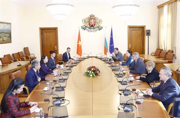 Vice President meets acting Prime Minister, Foreign Minister of Bulgaria hinh anh 2
