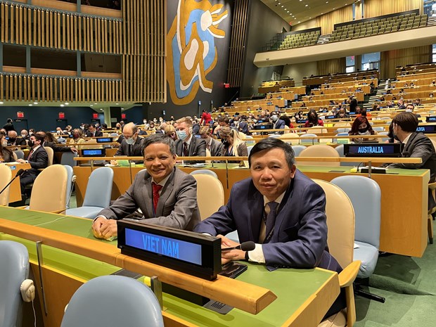 Vietnamese representative re-elected to International Law Commission hinh anh 2