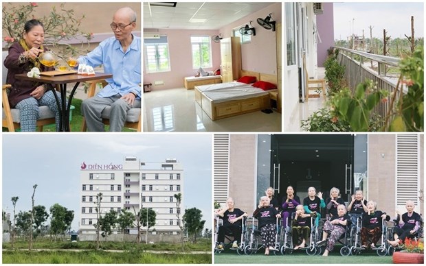 Nursing home market nascent in Vietnam: Savills hinh anh 1