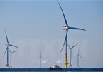 Vietnam eyes 4 GW offshore wind power capacity by 2030