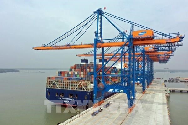 Foreign ship arrivals in Vietnam's seaports rise 30 percent hinh anh 1