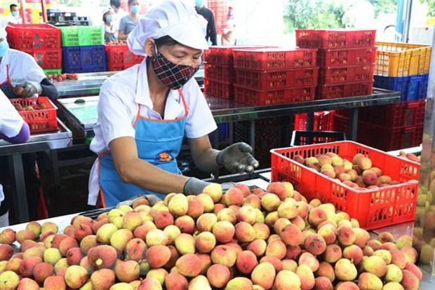 ASEAN market boasts opportunities for Vietnamese firms: official