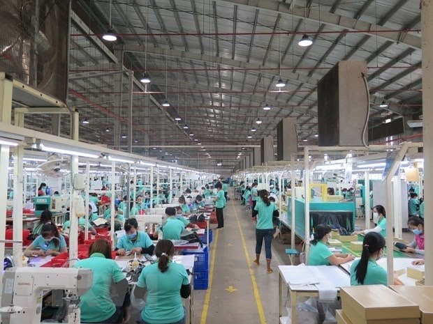 Adjustments to social welfare policies needed to not leave anyone behind: Experts hinh anh 1