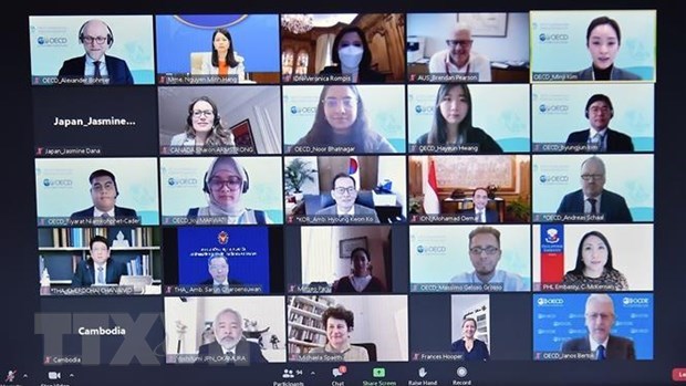 Vietnam nominated as co-chair of OECD's Southeast Asia programme for first time hinh anh 1