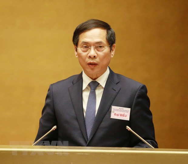 Diplomacy pillars highlighted at national conference on foreign affairs hinh anh 3