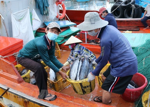 Deputy Minister requests efforts to remove IUU fishing warning hinh anh 1
