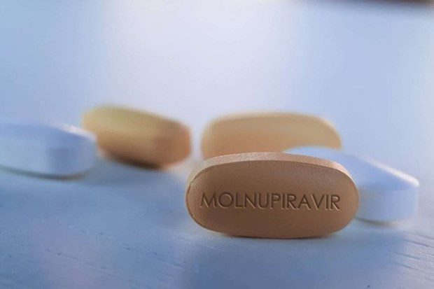 Medicines with molnupiravir for COVID-19 treatment proposed to be licensed hinh anh 1