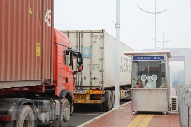 Northern provinces halt fruit truck reception at some border gates hinh anh 2