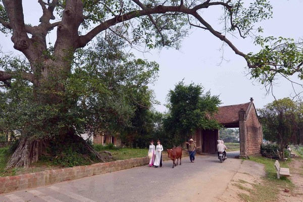 Duong Lam first Vietnamese ancient village to become national relic