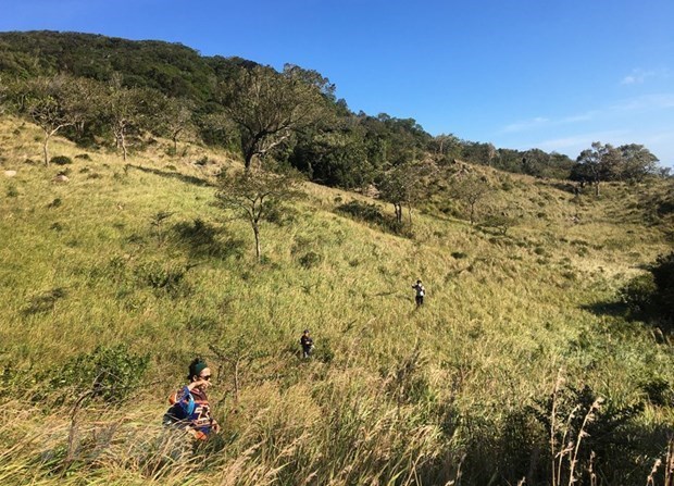 Discovering unique dry forest ecosystem of Nui Chua Biosphere Reserve hinh anh 1