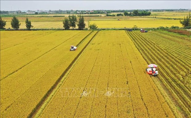 Strategy issued to boost sustainable agricultural development in Vietnam