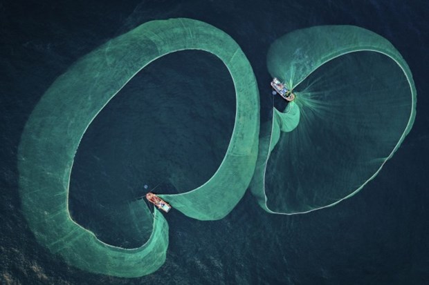 Vietnamese photographer wins Underwater Photographer of the Year 2022 award hinh anh 1