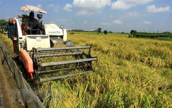 Vietnam shares experience in poverty reduction, crisis settlement at UN CSocD session