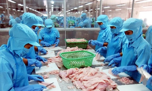 Seafood stocks expected to grow in 2022 on bullish outlook hinh anh 1