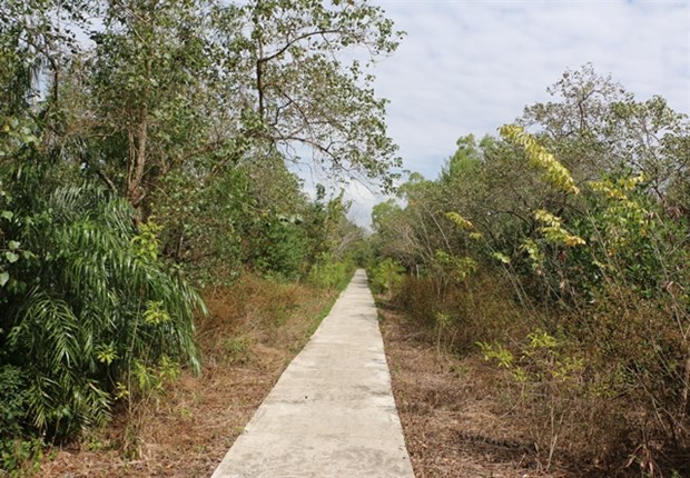 Mekong Delta takes multiple measures to prevent forest fires hinh anh 1