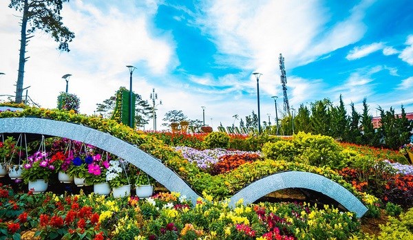9th Da Lat Flower Festival to be held by year-end hinh anh 1