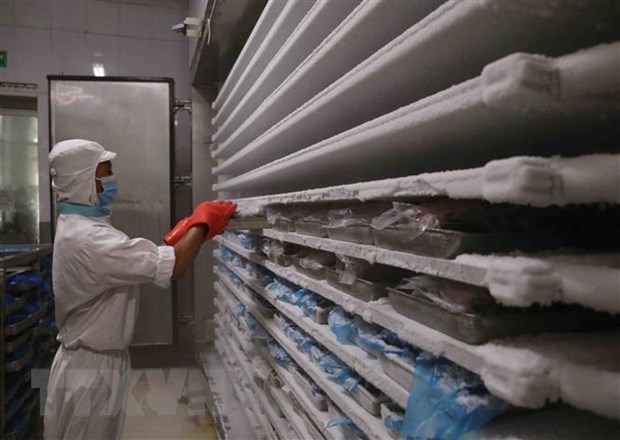 Vietnam’s cold storage market to worth 295 million USD in 2025 hinh anh 1