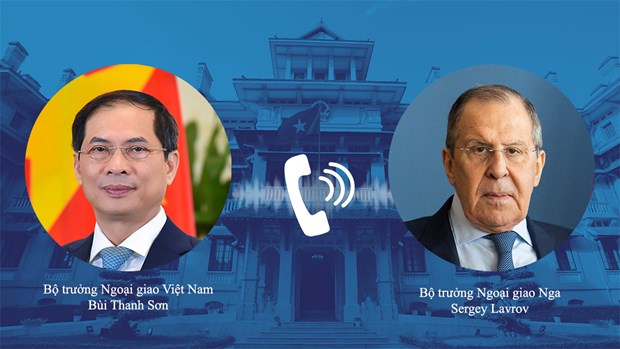 Vietnamese, Russian foreign ministers hold phone talks on Ukraine situation hinh anh 1