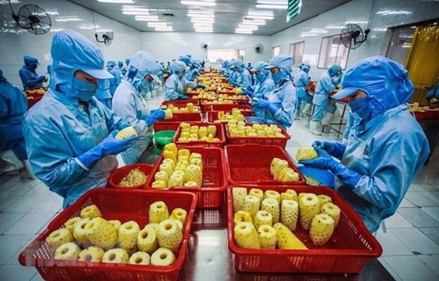 Vietnam works to foster farm produce exports to US hinh anh 1