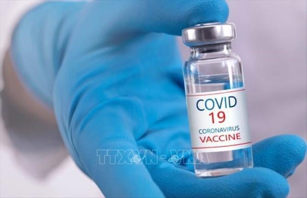 Vietnam-developed COVID-19 vaccine candidates now in clinical trials: official hinh anh 1