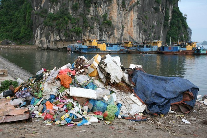 environmental problems in vietnam essay