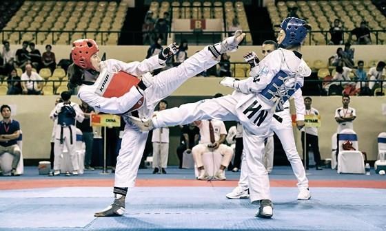 Vietnam win 35 golds at Asian Open Taekwondo Championship