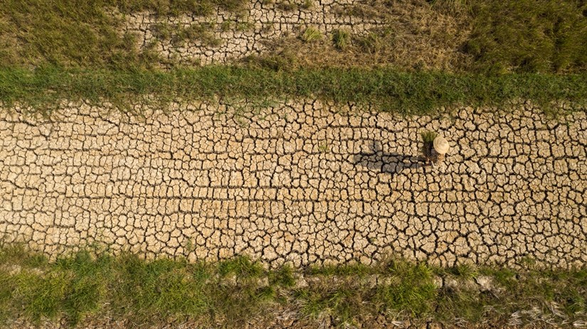 Mekong Delta locals respond to drought and saltwater intrusion