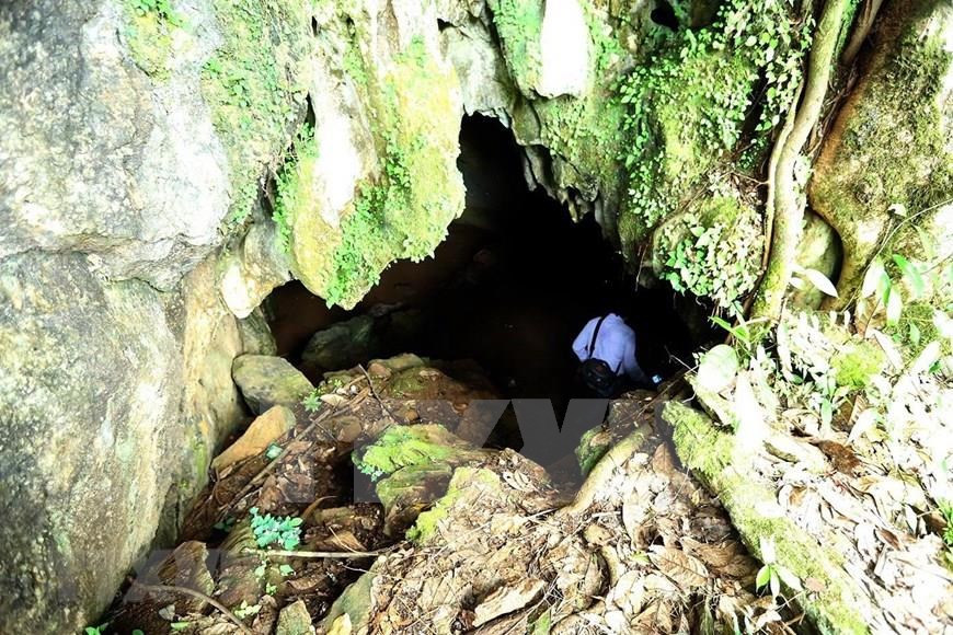Road leads to Muong Tinh cave (Photo: VNA)