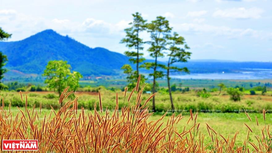 Distinctive features bring refreshing beauty to the volcano (Photo: VNA)