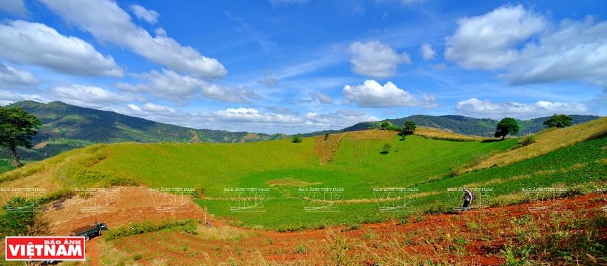 With alluring natural surrounding, holidaymakers are left in awe of the once-activated volcano (Photo: VNA)
