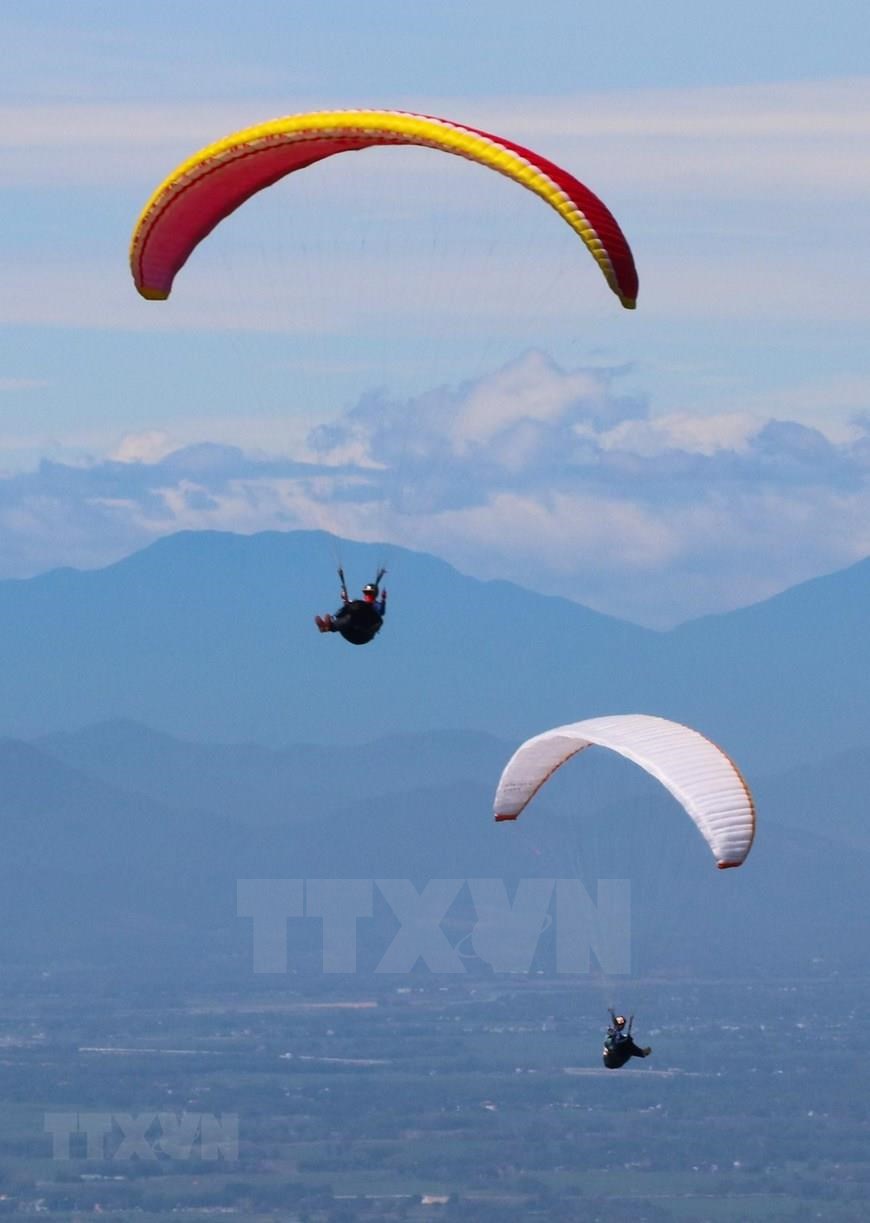 The paragliding contest is aimed&nbsp;at examining the technical capability of Son Tra as a paragliding destination (Photo: VNA)<br />