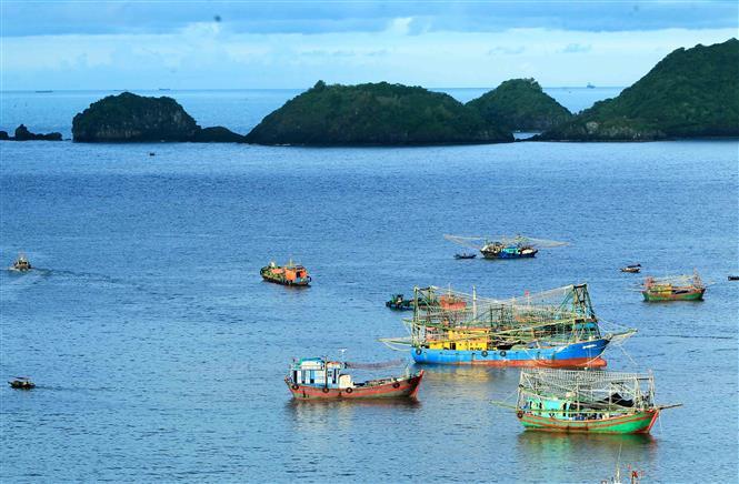 In 2004, Cat Ba Archipelago was declared UNESCO Man and Biosphere Reserve Area in order to protect the multiple terrestrial and aquatic ecosystems as well the diverse plant and animal life that is found on the Island (Photo: VNA)