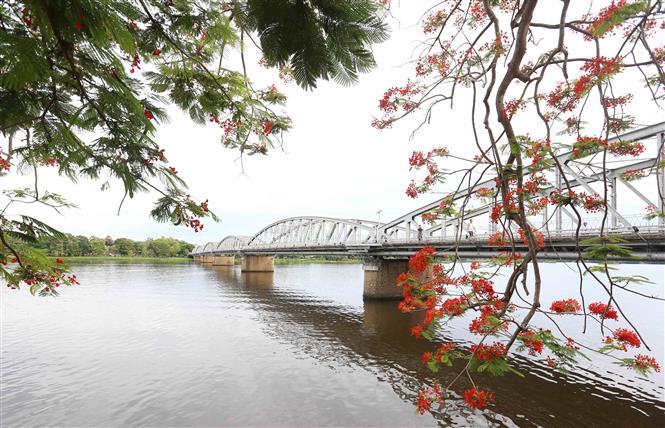 Truong Tien Bridge by the romantic Huong River (Photo: VNA)