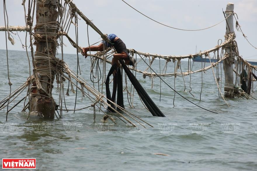 For years, fishermen in Vung Tau have caught fish using nets strung between wooden or concrete poles which are fixed into the seabed at a depth of 15-16 meters (Photo: VNA)