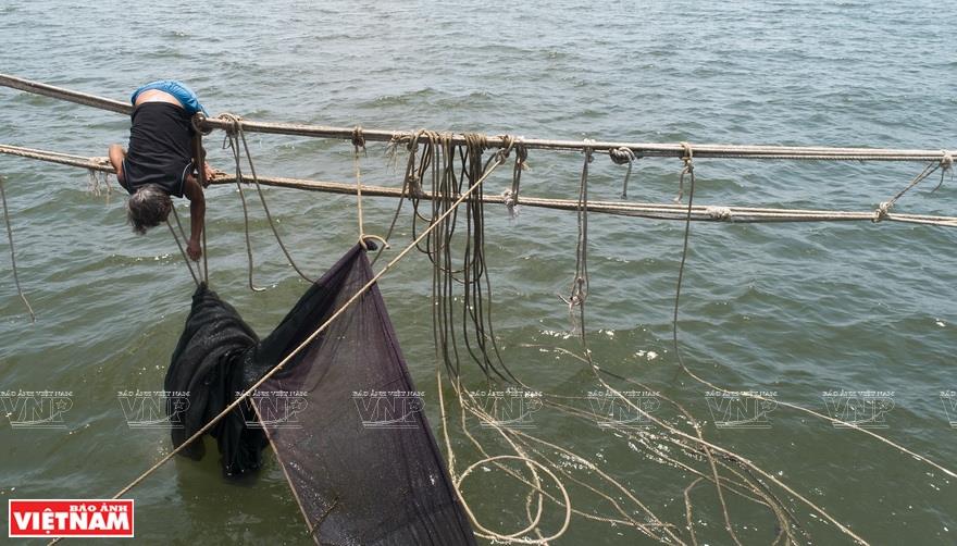 This traditional fishing method is unique in Vung Tau in particular, and in south Vietnam in general (Photo: VNA)