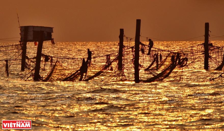 The fishermen walk on rope ties to lay fishing nets at sunset (Photo: VNA)