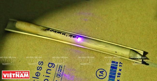 Hoa plans to turn Hon Mu into a non-profit community where people can experience a new way of life which is close to nature and environmentally friendly (Photo: VNA)