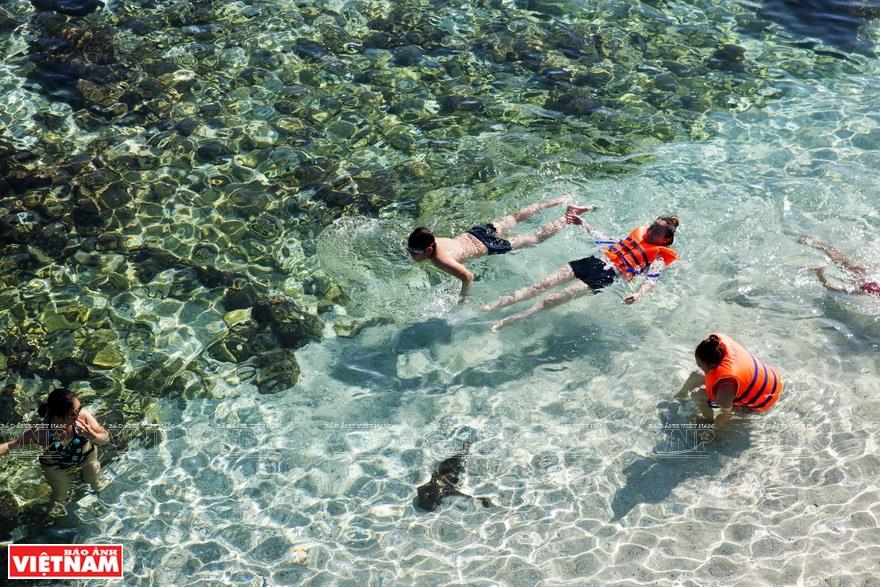 Swimming in the clear blue water of Dao Be (Photo: VNA)