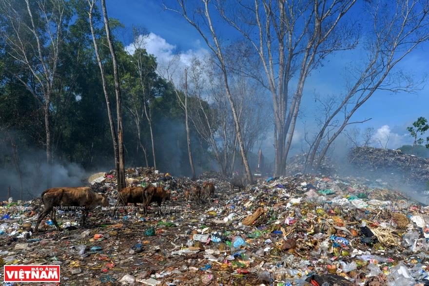 Carrying the message of 'only actions can bring about changes', Hung’s photos deeply impress viewers and spread a call for action to tackle plastic waste - a growing environmental disaster (Photo: VNA)