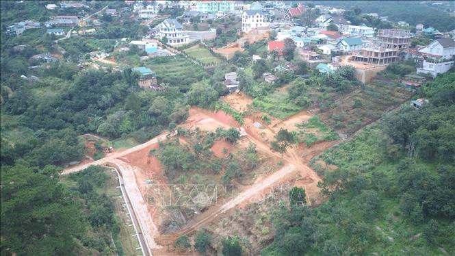 Giải tỏa khu vực bị phân lô bán đất rừng trái phép tại Đà Lạt