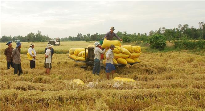 Ngành nông nghiệp: Chuyển đổi mô hình tăng trưởng, thúc đẩy CNH, HĐH