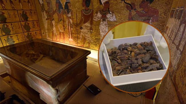 Lí do lăng mộ vị Pharaoh nổi tiếng nhất Ai Cập ngập tràn đồ ăn
