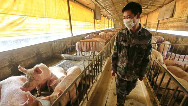 Nguy cơ gây đại dịch của virus mới phát hiện tại Trung Quốc