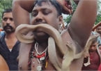 Bất chấp đại dịch, dân Ấn Độ tụ tập diễu hành cùng rắn