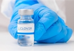 Singapore phá kỷ lục buồn Covid-19, Trung Quốc có vắc xin hiệu quả 79%