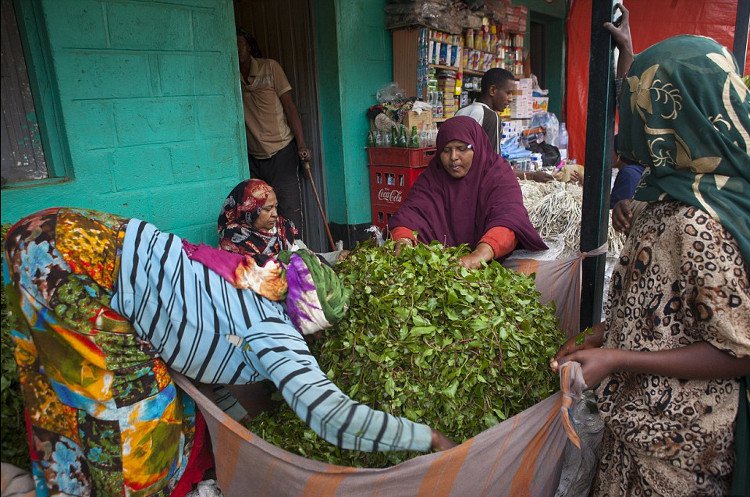 Shop TIN 11/7: 60% doanh nghiệp FDI xả thải vượt quy chuẩn? - ảnh 8