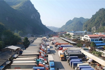 Bắt tạm giam 2 cán bộ 'bán lốt' cho xe ưu tiên qua biên giới Lạng Sơn giá 200-300 triệu đồng/xe