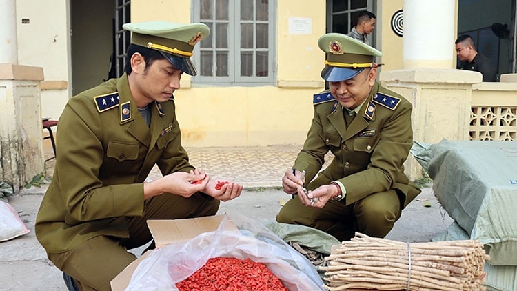 Dược liệu “trôi nổi”: Tiềm ẩn nhiều nguy cơ ngộ độc
