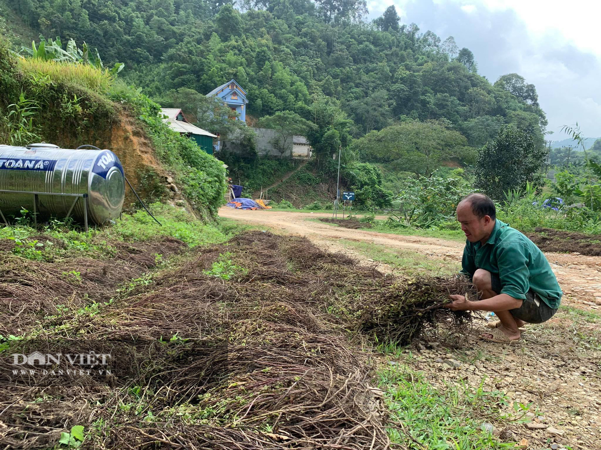 Chỉ cần có mưa, người nông dân sẽ 